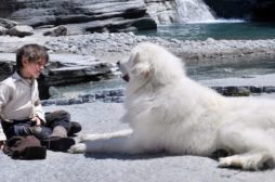 Belle & Sebastien pronto a sbarcare nei cinema italiani