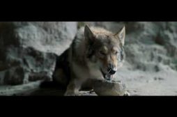 Alpha: nuovo trailer ufficiale italiano e poster del film