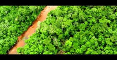 Due clip tratte dal film The Green Inferno