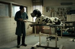 Fuori programma al TFF: docufilm sull’attore di Dogman
