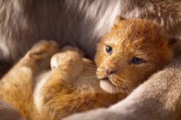 Il Re Leone: ecco il trailer ufficiale italiano del nuovo film targato Disney