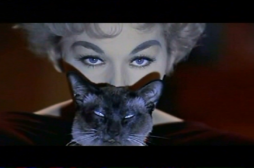 Gatti & cinema