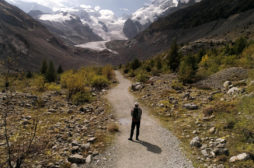 Clorofilla Film Festival: le serate finali