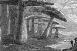 Viaggi al Centro della Terra – dal libro di J. Verne al cinema