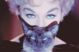 Gatti nel cinema – Miao, si gira!  – 1 parte