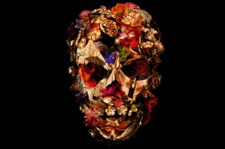 IWonderfull racconta la vita segreta di Piera Degli Esposti e Joaquin Phoenix