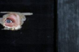 In viaggio con Dario Argento aspettando Occhiali neri: L’uccello dalle piume di cristallo (1970)