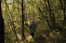 Dal 7 al 14 settembre parte Terra!, Festival di fotografia e cinema ambientale a Roma