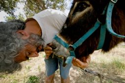 Salinadocfest 2022, al via la XVI edizione