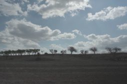 Salinadocfest, i vincitori del concorso Isole.doc / Uniti per l’ambiente