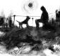 Trenta cani e un bastardo di Alessandro Morbidelli