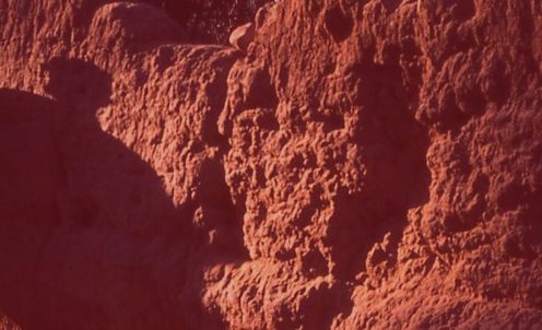 Di Fuga in Fuga di Claudio Calabrese: il viaggio di Rayan